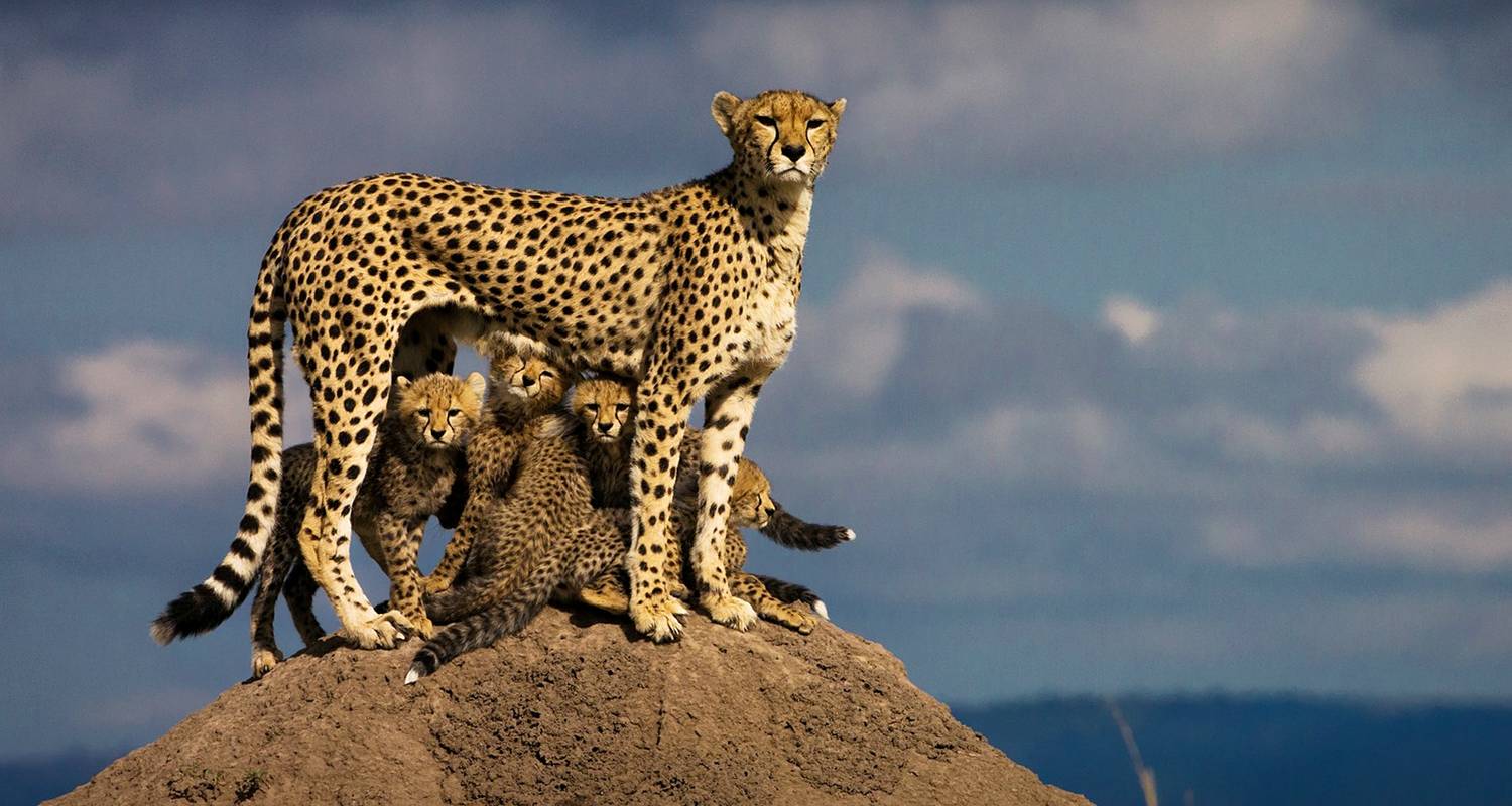 5 Days, 4 Nights Masai Mara/Lake Nakuru/ Lake Naivasha/ Hells Gate Budget Tour
