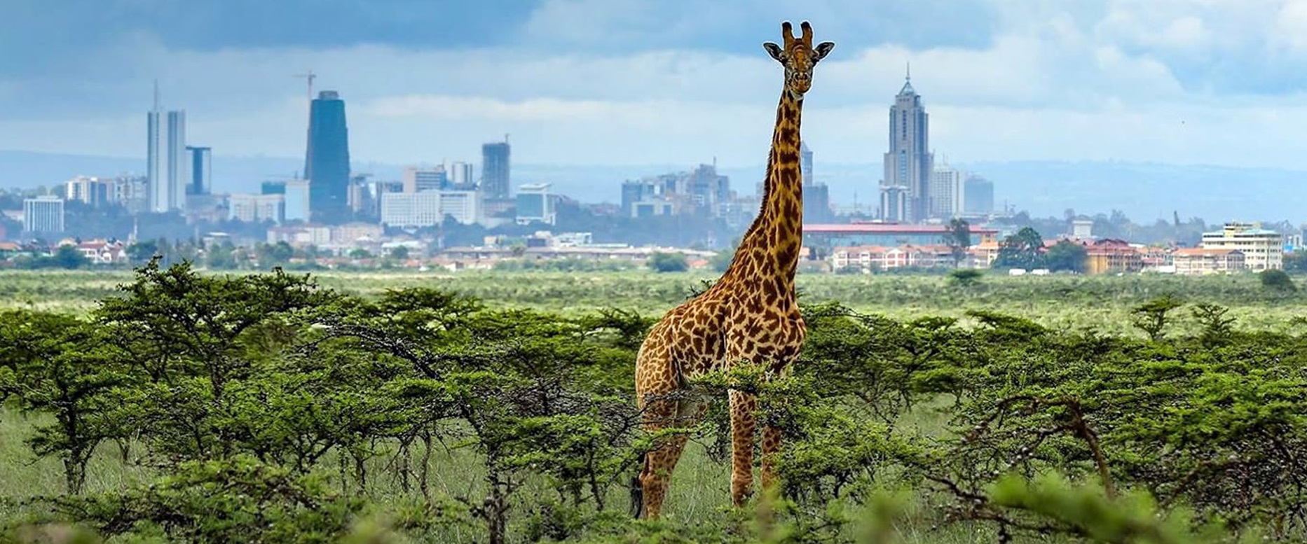 Nairobi City Excursion