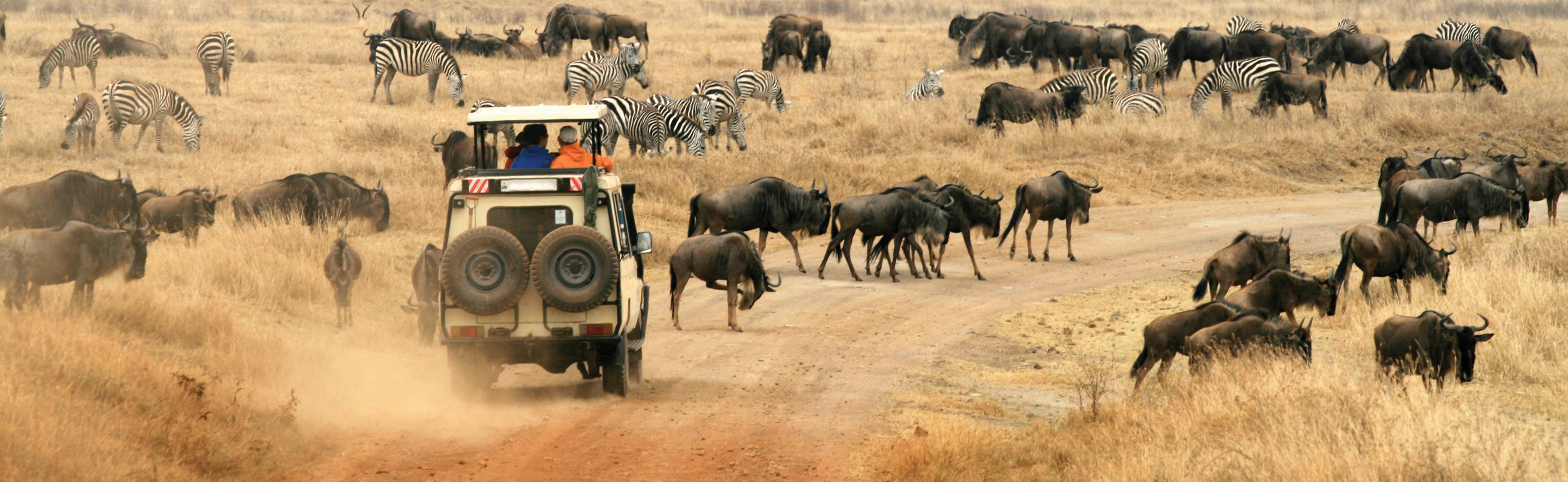 7 Days, 6 Night Masai Mara/Lake Nakuru/ Lake Naivasha/Amboseli Budget Safari.