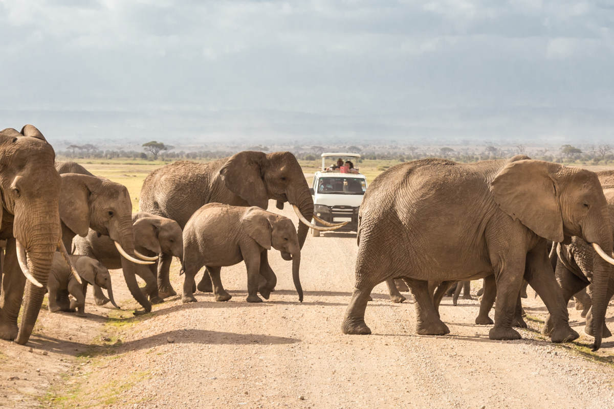 3 days Masai mara – Private Safari