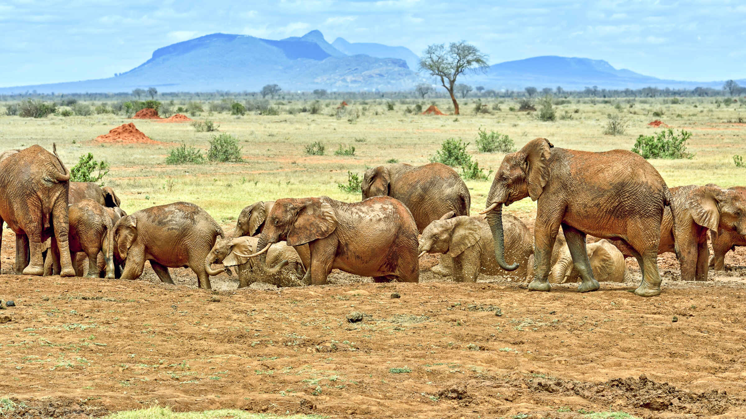 Tsavo West