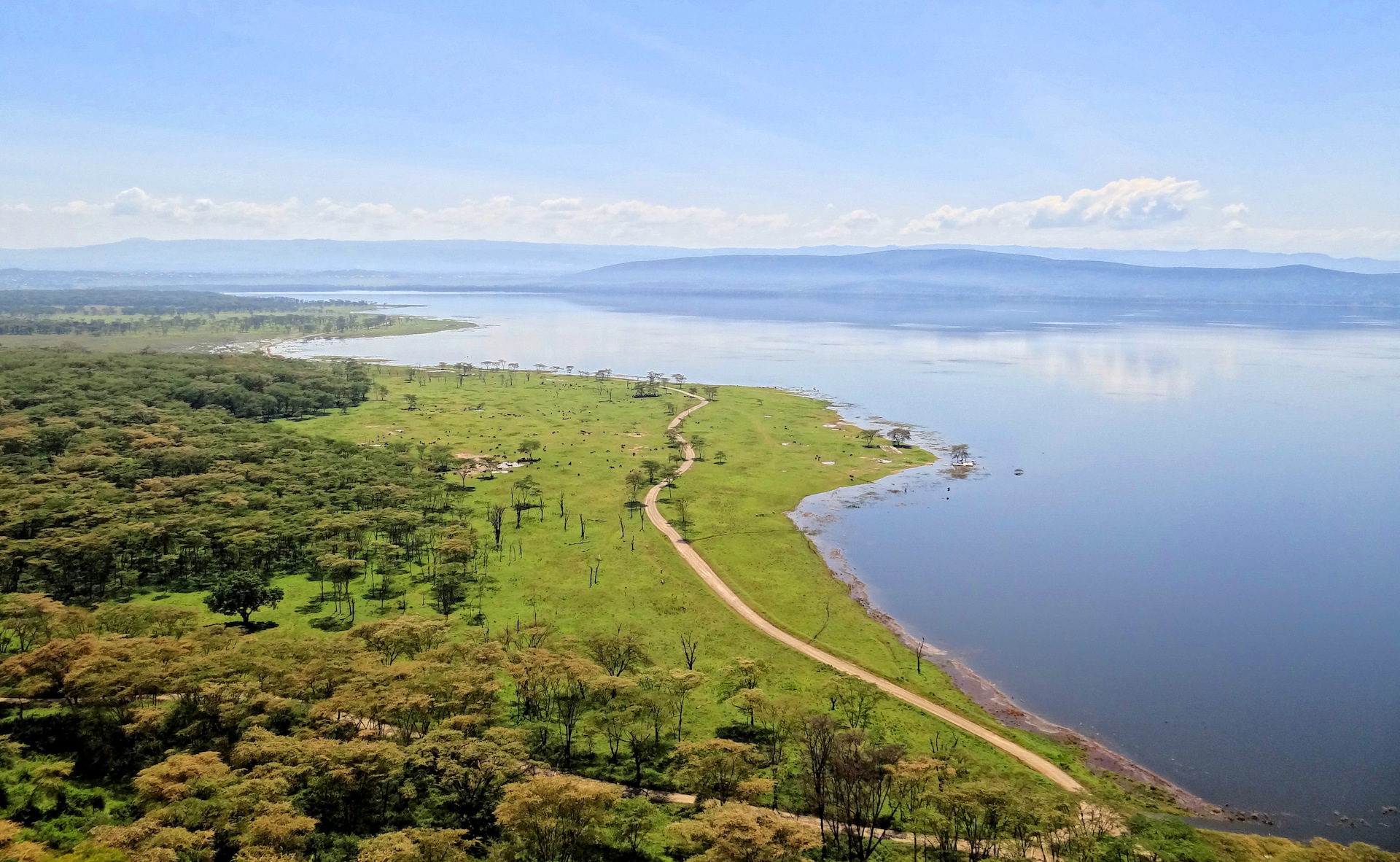 Day Trip Lake Nakuru Budget Safari