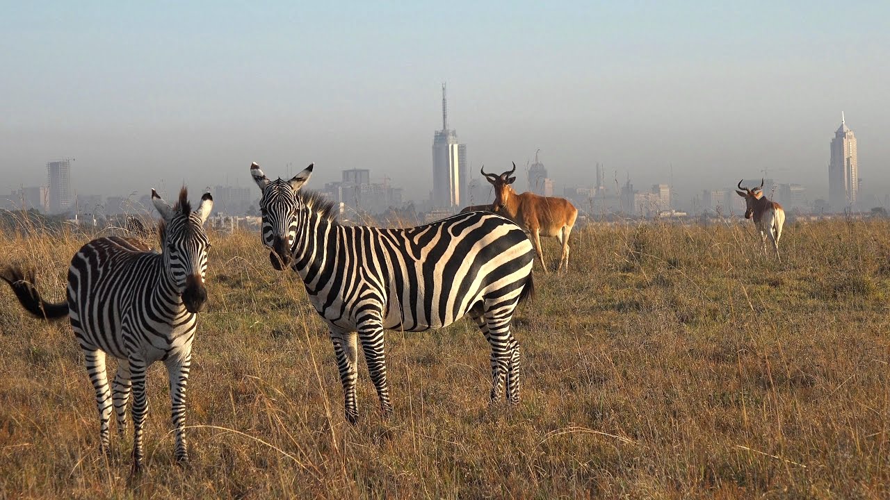 Nairobi City