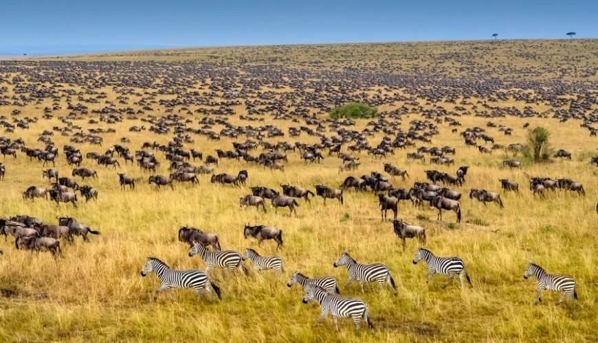 Luxury Masai Mara Safari Lodge
