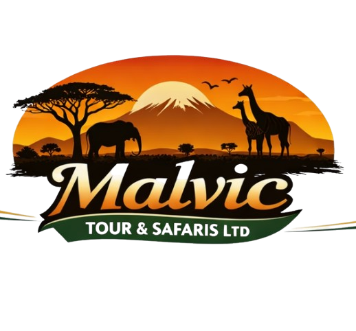 Malvic Tours & Safaris Ltd