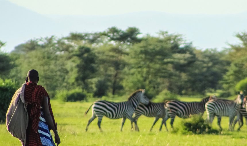 Kenya Safari Park Fees Guide: Entry Costs & Travel Tips